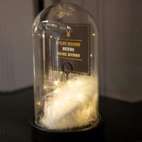 Dekoleuchte ANN Dekoleuchte ANN von Playboy