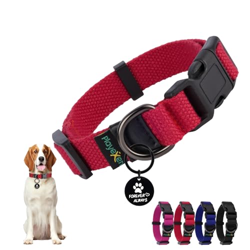 Welpenhalsband Welpen Halsbänder Verstellbares 25-40cm für Kleine Mittel Hunde Katzen Welpen Halsband Weiches Baumwollmaterial Hundehalsband mit Abnehmbaren Hundemarke für Training Ausführen（Rot-S） von Playexen