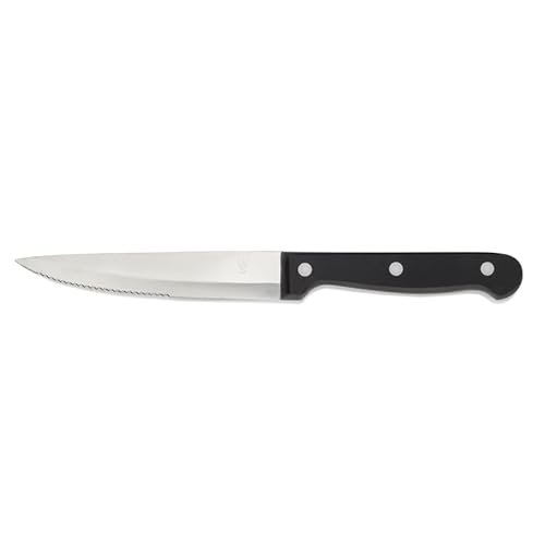 18x Steakmesser Set mit POM Kunststoffgriff, 25 cm, Set, Polyoxymethylen, Chromstahl 13/0 18x Steakmesser Set mit POM Kunststoffgriff, 25 cm, Set, Polyoxymethylen, Chromstahl 13/0 von Playflip
