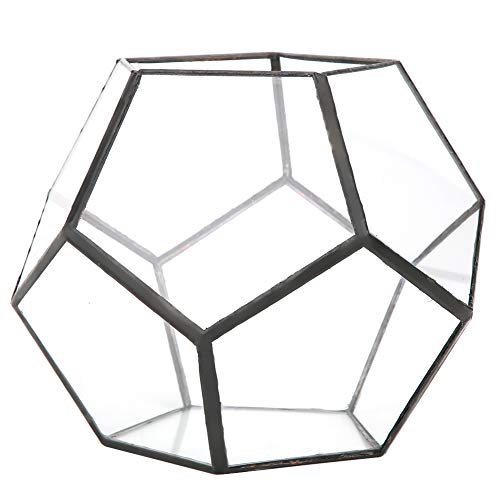 Plcnn Geometrisches DIY-Terrarium aus Glas, Kleines Geometrisches Glasterrarium, Geschlossener Behälter für Drinnen und Draußen, Gartendekoration, Blumentopf Plcnn Geometrisches DIY-Terrarium aus Glas, Kleines Geometrisches Glasterrarium, Geschlossener Behälter für Drinnen und Draußen, Gartendekoration, Blumentopf von Plcnn
