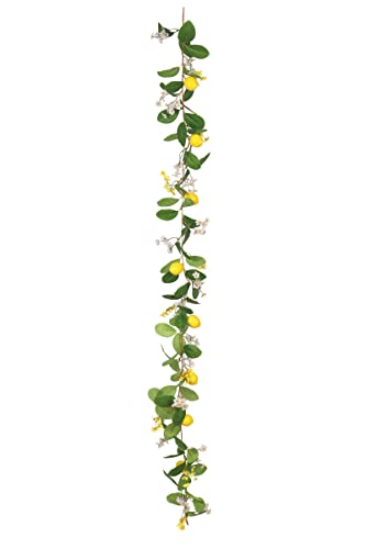 Plcnn Künstliche Obstgirlande Zitrone Reben Girlande 1,8 m Faux Lemon Greenery Girlande mit Blumen für Kaminsims, Haustür, Wand, Heimdekoration von Plcnn