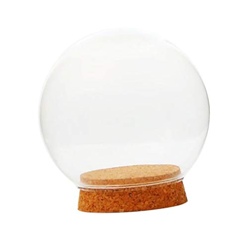 Glaskugelförmige Abdeckung Landschaft Terrarium Behälter Deckel Vase Flasche 12cm Glaskugelförmige Abdeckung Landschaft Terrarium Behälter Deckel Vase Flasche 12cm von Pleayietoopiatiey