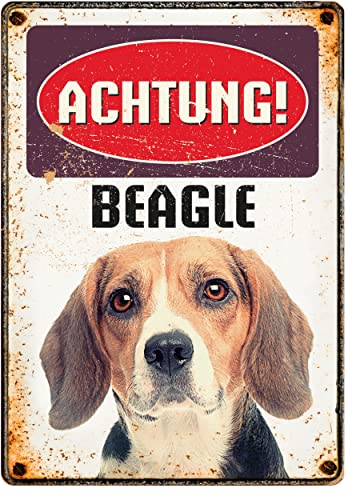 Plenty Gifts – Blechschild im Retro-Stil | Achtung! Beagle | 21x14,8 cm | Wanddekoration für drinnen und draußen von Plenty Gifts