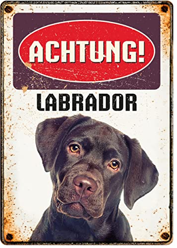 Blechschild im Retro-Stil | Achtung! Labrador | 21x14,8 cm | Wanddekoration für drinnen und draußen von Plenty Gifts
