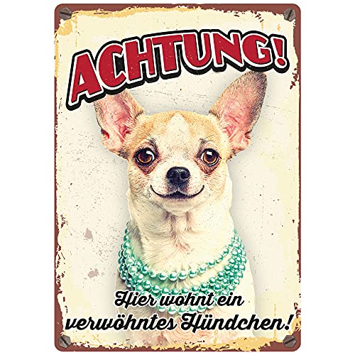 Plenty Gifts Metallschild Vintage Achtung Verwöhntes Hündchen von Plenty Gifts
