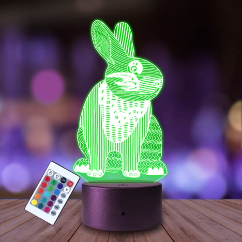 Plexido Nachtlicht Ostern Osterhase Feiertage Hase Illusion Lampe 3D Nachttischlampe Geschenk für Kinder Personalisiert Graveur Weltraum Kinderzimmer LED Licht Fernbedienung 16 Farbwechsel Wohnzimmer von Plexido