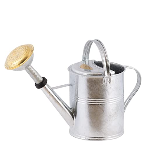 PLINT 5L Watering Can - Modern Style Watering Pot for Indoor and Outdoor House Plants - Coloured Galvanised Powder Coated Steel - Metal Design with Narrow Spout and High Handle - (Zinc) von Plint