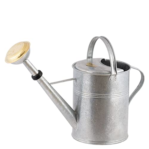 PLINT 9L Watering Can - Modern Style Watering Pot for Indoor and Outdoor House Plants - Coloured Galvanised Powder Coated Steel - Metal Design with Narrow Spout and High Handle - (Zinc) von Plint
