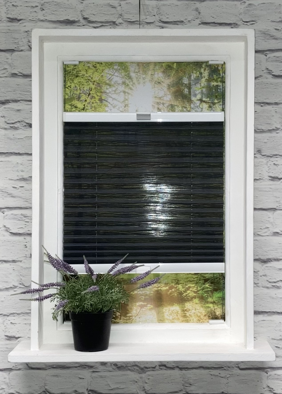 Plissee Ballet Transparent Black Plissee Ballet Transparent Black von Plissee-flix24.de