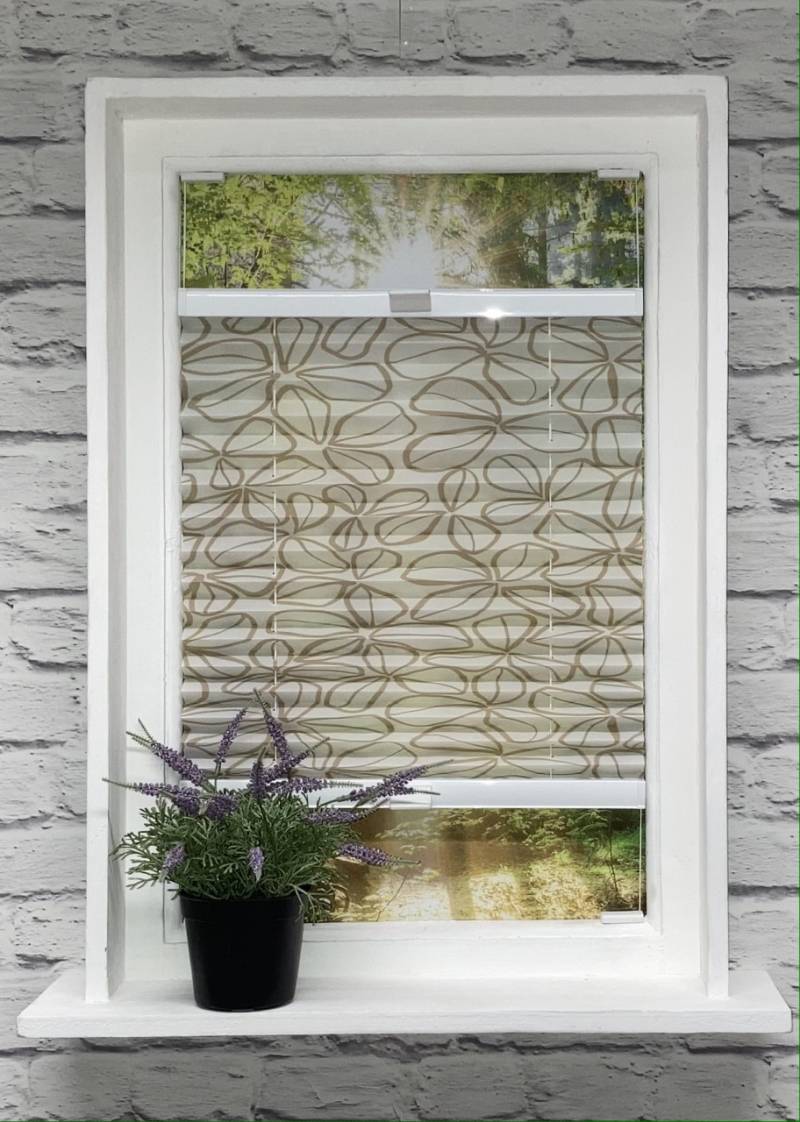 Plissee Clover Weiß-Kakao Plissee Clover Weiß-Kakao von Plissee-flix24.de