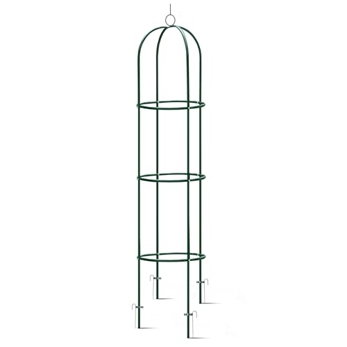 Plonos Rankhilfe 200 cm Kletterpflanzen Rosenspalier 4 Erdanker Stahl Pulverbeschichtet Witterungsbeständig UV Beständig Dunkelgrün Plonos Rankhilfe 200 cm Kletterpflanzen Rosenspalier 4 Erdanker Stahl Pulverbeschichtet Witterungsbeständig UV Beständig Dunkelgrün von Plonos