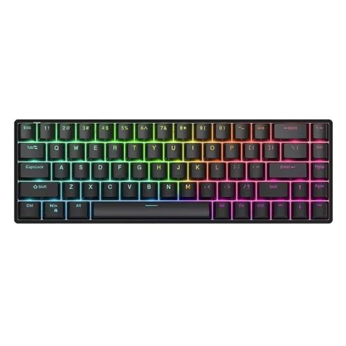 PlosFeng Kabelgebundene mechanische Tastatur mit Magnetachse RAVEN68 8K Fast Trigger RGB-Hintergrundbeleuchtung E-Sport-Gaming-mechanische Tastatur PC(RGB B) von PlosFeng