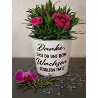 Personalisierter Blumen Übertopf/ Geschenkidee Erzieher/Dankeschön Abschiedsgeschenk Danke, Das Du Uns Beim Wachsen Geholfen Hast Personalisierter Blumen Übertopf/ Geschenkidee Erzieher/Dankeschön Abschiedsgeschenk Danke, Das Du Uns Beim Wachsen Geholfen Hast von PlotterLoves