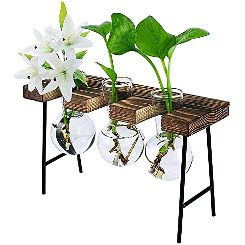 Plouluyt Desktop Terrarium mit HolzstäNder 3 Zwiebelvasen Glas Pflanzgefäß für Pflanzen Home Office Dekoration von Plouluyt