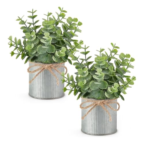 Pluuttiem 2 Packs Mini Faux Eucalyptus Künstliche Pflanzen in Kleinen Gefälschten Bauernhaus -Verzinkten Töpfen Tisch Herzstück Pluuttiem 2 Packs Mini Faux Eucalyptus Künstliche Pflanzen in Kleinen Gefälschten Bauernhaus -Verzinkten Töpfen Tisch Herzstück von Pluuttiem
