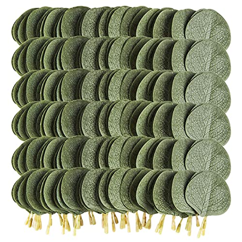 Pluuttiem 300 StüCk Bulk Eukalyptus BläTter KüNstliche GrüN GefäLschte GrüNe BläTter für DIY Kranz Hochzeit Boutonnieres Corsagen Pluuttiem 300 StüCk Bulk Eukalyptus BläTter KüNstliche GrüN GefäLschte GrüNe BläTter für DIY Kranz Hochzeit Boutonnieres Corsagen von Pluuttiem