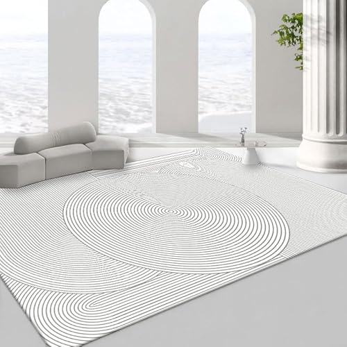 Pmnadfdag Teppich Wohnzimmer 150 x 180 cm Teppich Kurzflor rutschfest Weich Waschbar für Schlafzimmer Küche Büro Moderne geometrische Linien grau Pmnadfdag Teppich Wohnzimmer 150 x 180 cm Teppich Kurzflor rutschfest Weich Waschbar für Schlafzimmer Küche Büro Moderne geometrische Linien grau von Pmnadfdag