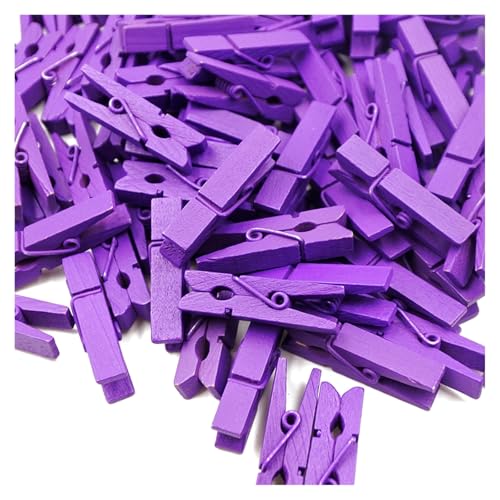 Pmnzdy 100 Stück Holz Wäscheklammern farbige Natur 3.5 cm süße Kleine Mini Bunt Holzklammern Zierklammern für Fotos Klammern Bilder klein Holzdekoration Clips Postkarten Geschenke deko Lila von Pmnzdy