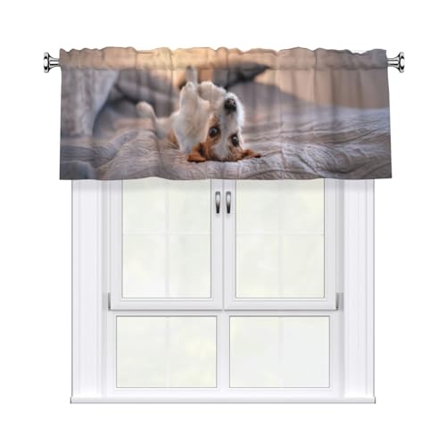 Poadnly Süßer Kleiner Hund Jack Russell Terrier, Fenstervorhangvolants, Vorhangaufsatzvolant für Wohnzimmer 54x18 in von Poadnly
