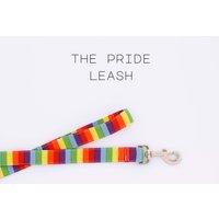Regenbogen Muster Hundeleine, Süße Handgemachte Hundeleine "The Pride" von PockyandPepper