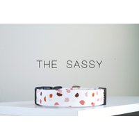 "Tolles Halsband "The Sassy" - Terrazzo Hundehalsband" von PockyandPepper
