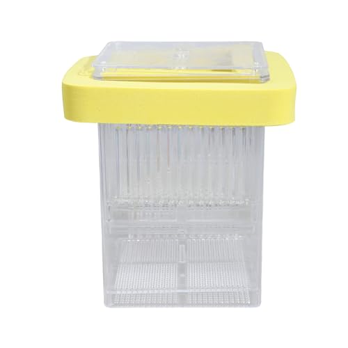 Pocoiau Fishtank Separation Breeder Box Klare Schwimmende Zuchtisolation Box Aquarium Kleine Brüterei Inkubator Einstellbare Trennzeichen Fischzuchttanks von Pocoiau