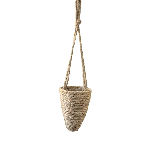 Pocoiau Kleine Handgewebe Hängende Körbe Hängende Blumenpot Rohrwaschstruktur Für Pflanzen Und Accessoires Für Wohnzimmer Oder Eingangseingang Natürlicher Pflanzenhalter Pocoiau Kleine Handgewebe Hängende Körbe Hängende Blumenpot Rohrwaschstruktur Für Pflanzen Und Accessoires Für Wohnzimmer Oder Eingangseingang Natürlicher Pflanzenhalter von Pocoiau