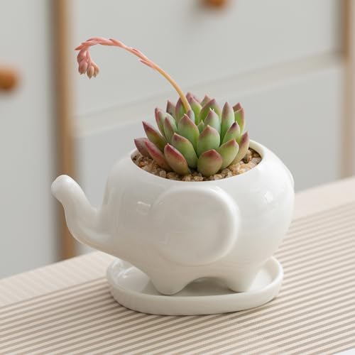 Mini-Elefanten-Sukkulentententöpfe, weißer Keramik-Blumentopf, niedlicher Tier-Blumentopf für Zuhause, Büro, Zuhause, Innen- und Außenbereich, Garten, Dekoration, tolle Geschenkidee für den Mini-Elefanten-Sukkulentententöpfe, weißer Keramik-Blumentopf, niedlicher Tier-Blumentopf für Zuhause, Büro, Zuhause, Innen- und Außenbereich, Garten, Dekoration, tolle Geschenkidee für den von Pocovoza