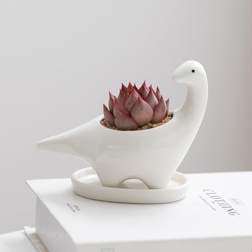 Weiße Keramik-Dinosaurier-Sukkulententöpfe, kleine niedliche Tier-Blumen-Übertopf für Zuhause, Büro, Zuhause, Innen- und Außenbereich, Garten, Dekoration, tolle Geschenkidee von Pocovoza