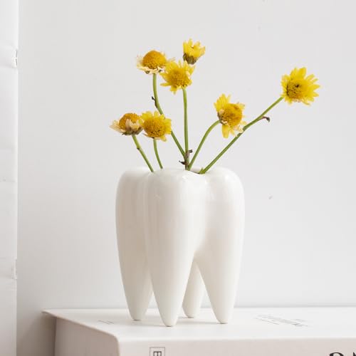Weiße Keramik-Zahn-Sukkulententöpfe, Mini-Blumentopf, für Zuhause, Büro, Zuhause, Innen- und Außenbereich, Garten, Dekoration, tolle Geschenkidee, Mini-Kaktus Weiße Keramik-Zahn-Sukkulententöpfe, Mini-Blumentopf, für Zuhause, Büro, Zuhause, Innen- und Außenbereich, Garten, Dekoration, tolle Geschenkidee, Mini-Kaktus von Pocovoza