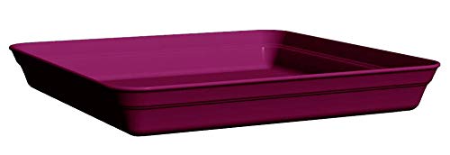 Poetic Jardin Romeo Pflanzenuntersetzer Morello Cherry von Poétic