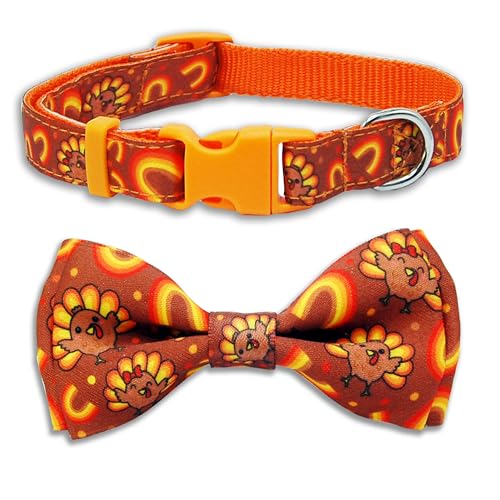 Thanksgiving-Hundehalsband, verstellbar, Herbst-Haustier-Halsband mit niedlichem Truthahn- und Regenbogen-Muster, festliches Herbst-Hundezubehör für kleine, mittelgroße und große Hunde Thanksgiving-Hundehalsband, verstellbar, Herbst-Haustier-Halsband mit niedlichem Truthahn- und Regenbogen-Muster, festliches Herbst-Hundezubehör für kleine, mittelgroße und große Hunde von Pohshido