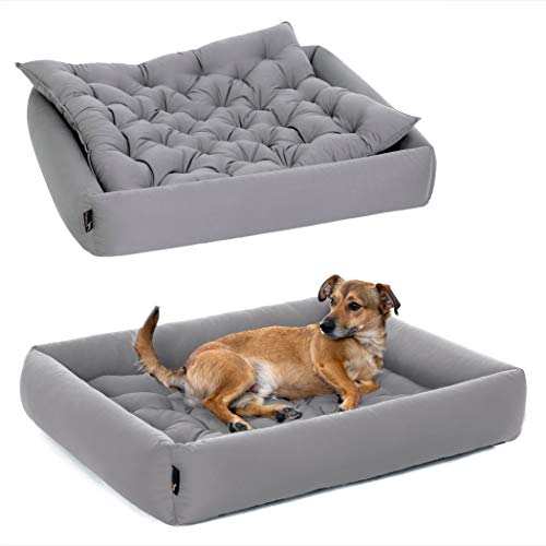 Pointer | Hundebett mit Hundekissen - orthopädisch, waschbar, bequem (XXL - 100x90 cm, Hellgrau) von Doctor Bark