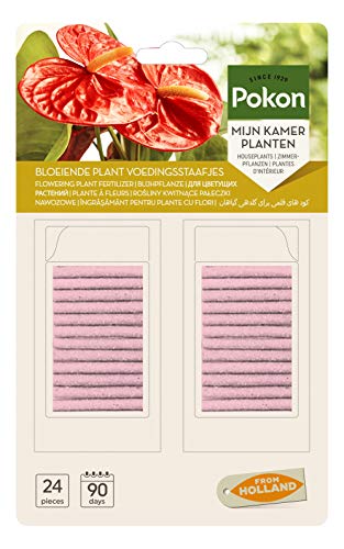 Pokon Blühpflanzen Düngerstäbchen, für alle blühenden Zimmerpflanzen, 3 Monate Langzeitwirkung, 24 Stück von Pokon
