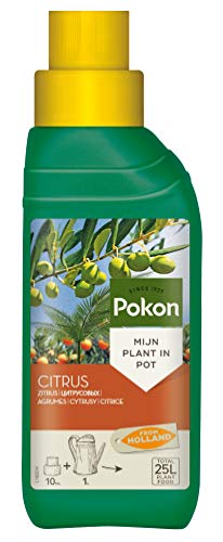Pokon Zitrus- und Mediterraner Pflanzendünger, Spezial Flüssigdünger, für alle Zitrus Pflanzenarten in Töpfen, 250 ml von Pokon