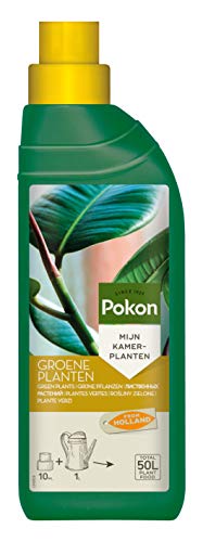 Pokon Grünpflanzen-Flüssigdünger, Dünger, Flüssig, Grünpflanzen im Zimmer, auf Balkon und Terrasse, 500 ml von Pokon