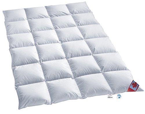 Canada warmes Winter 4-cm Daunen Kassettenstegbett Daunenbett Canada 100% Daune 100% Natur Daunendecke 200x200 cm direkt vom Bettenfachgeschäft Canada warmes Winter 4-cm Daunen Kassettenstegbett Daunenbett Canada 100% Daune 100% Natur Daunendecke 200x200 cm direkt vom Bettenfachgeschäft von Polaris Halı