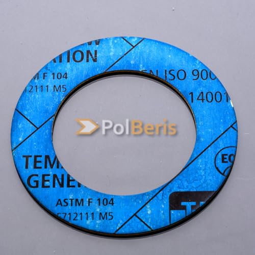 POLBERIS Dichtung DN125 PN10 PN16 TEMASIL NG von Polberis