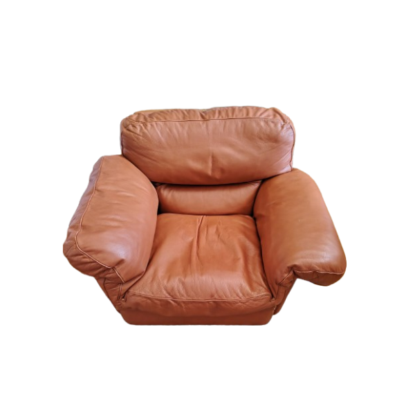 Tito Agnoli Sessel aus braunem Leder Poppy Lounge Chair, Poltrona Frau von Poltrona Frau