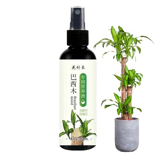 Poludatly 100ml Brasilianische Pflanze, Holzhaus Pflanzen Dünger, Glückliche Bambus Flüssigkeits Dünger, Hydroponische Brasilianische Nährstofflösung Für Innen Pflanzen von Poludatly