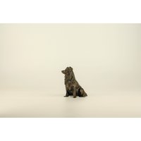 Low Poly Border Collie Figur, Handbemalte Skulptur, Einzigartiges Geschenk Für Hundeliebhaber Und Haustierbesitzer, Deko Zuhause Low Poly Border Collie Figur, Handbemalte Skulptur, Einzigartiges Geschenk Für Hundeliebhaber Und Haustierbesitzer, Deko Zuhause von Polyrized3D