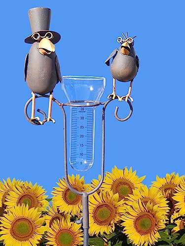 Pommerntraum ® | Regenmesser Niederschlagsmesser Pluviometer Gartenstecker Meisenknödelhalter Rostoptik wunderschöne Gartendeko (Prof. Dr. Rabe + Sohn - 1) von Pommerntraum
