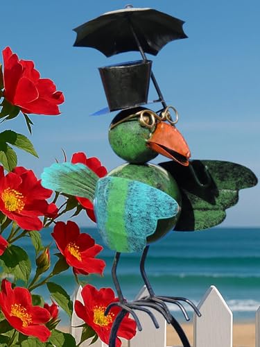 Pommerntraum ® | Regenmesser Niederschlagsmesser Pluviometer Vogel Regenschirm + Meisenknödelhalter - verrückte Gartendeko (Prof. Dr. Rufus Rabe mit Schirm) von Pommerntraum