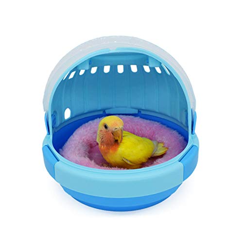 Pomrone Transportbox Für Vögel Hamster Kleine Kleintiere,Small Reisekäfig Für Vögel, Widerstandsfähiger Kunststoff, Komfortabler Griff, Sicherer Verschluss, 20 X 16 X 13,5 cm von Pomrone