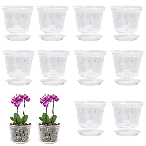 10 Stück Orchideentopf Transparent 14cm, Orchidee Pflanztöpfe Kunststoff mit Löchern und Untertassen, Außen Innen Garten Balkon Blumentopf für die Bepflanzung Blumen Orchidee Schlange Pflanze Violett von Pomurom