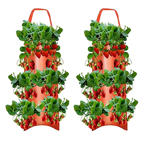 Erdbeer-Pflanzbeutel, 2 Stück Hängend Erdbeer Pflanztaschen aus Vliesstoff Atmungsaktiver, Pflanzbeutel Tomaten Umgedrehter, Pflanzsack mit Löchern für Erdbeer Tomaten Kräuter Gemüse Pflanzen Erdbeer-Pflanzbeutel, 2 Stück Hängend Erdbeer Pflanztaschen aus Vliesstoff Atmungsaktiver, Pflanzbeutel Tomaten Umgedrehter, Pflanzsack mit Löchern für Erdbeer Tomaten Kräuter Gemüse Pflanzen von Pomurom