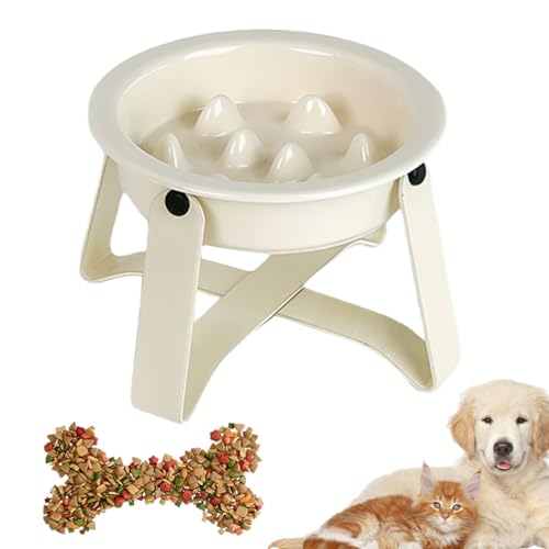 Hundernapf Verlangsamer | Keramik Metall Anti-Verschlucken Verlangsamende Fütterung Schüssel - Geschirr Futternapf Mit Eisenständer Für Küche Haushalt Wohnung Drinnen Draußen Alltag Hundernapf Verlangsamer | Keramik Metall Anti-Verschlucken Verlangsamende Fütterung Schüssel - Geschirr Futternapf Mit Eisenständer Für Küche Haushalt Wohnung Drinnen Draußen Alltag von Pomurom