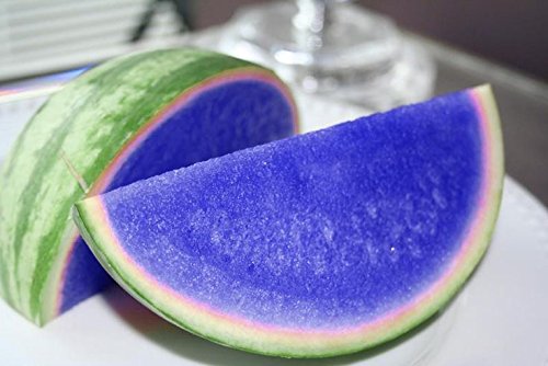 Ponak Neu Wassermelone Fruchtsamen 20 Stück Blau von Ponak
