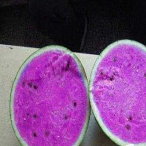 Ponak Neu Wassermelone Fruchtsamen Lila 20St von Ponak