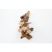 Holzpilz Wanddeko, Pilz Wandbehang, Holzschnitzerei Wandkunst, Wand & Deko, Fee, Pilze, Handgemachtes Geschenk Und Für Sie von PondokWoodCarving